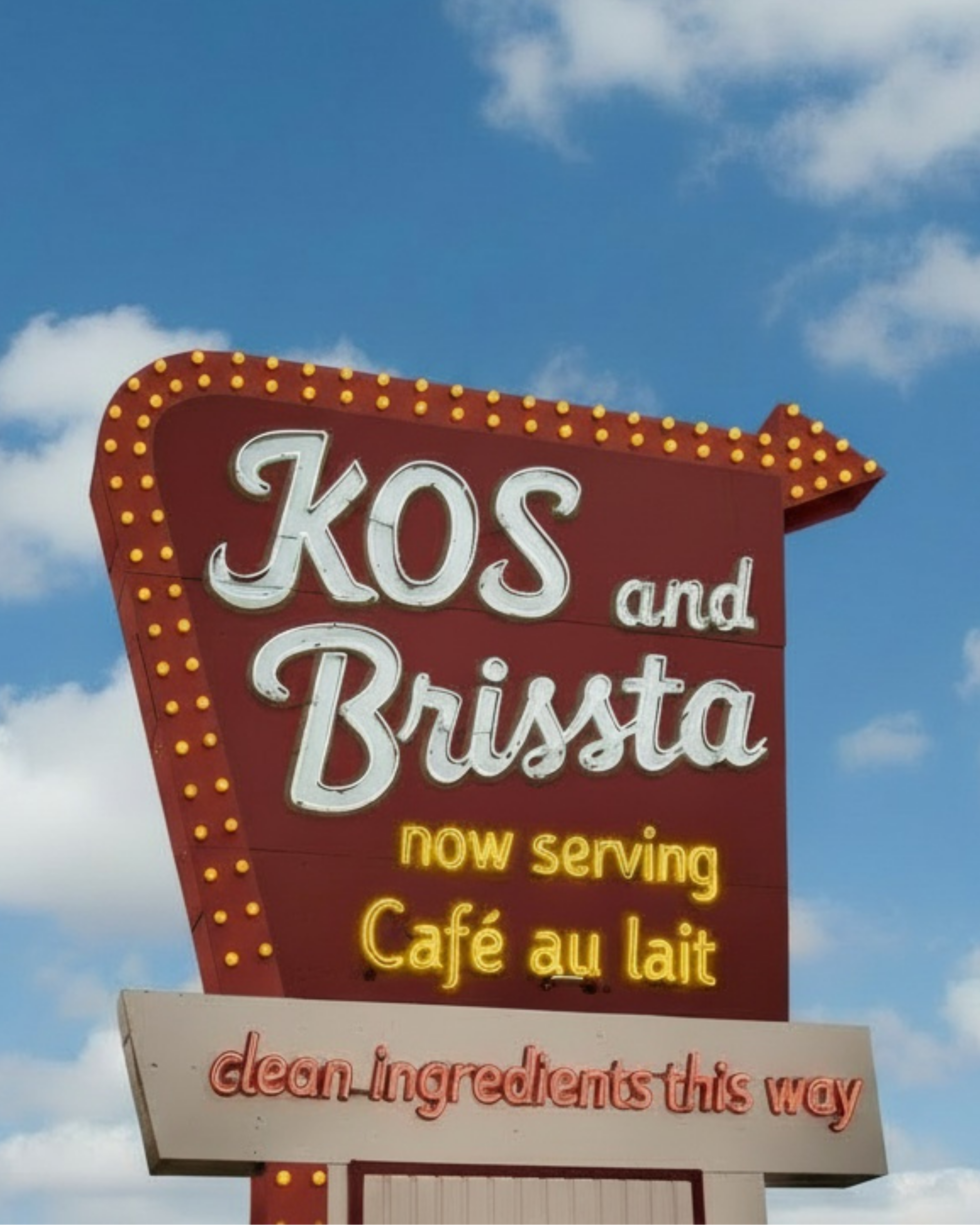 Why We Use KOS Coconut Milk Powder in Brissta
