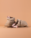 Two jute bags filled with coffee beans on a beige background